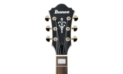 Ibanez AS73G BKF Black Flat