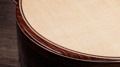 Taylor 858e LTD 12 String Rosewood Stika