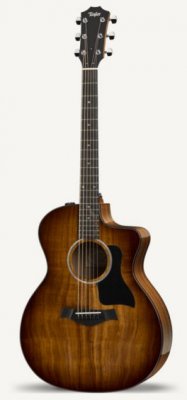 TAYLOR 224CE-K DLX