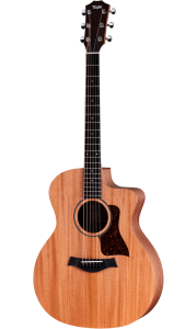 Taylor 24CE