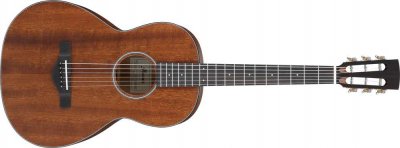 Ibanez Avn9-opn - thermo aged - open pore natural