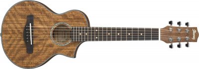 IBANEZ EWP14WB-OPN CHITARRA ACUSTICA TENORE CON BORSA