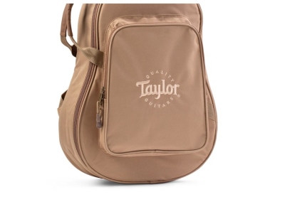 Taylor Gig Bag Academy e Big Baby