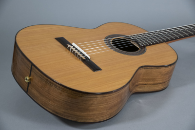 Raimundo 120E Cedar Chitarra Classica Elettrificata Fishman