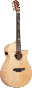 Ibanez Aeg750 Natural Electro Acoustic Guitar
