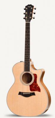 Taylor 414Ce Acoustic Guitar