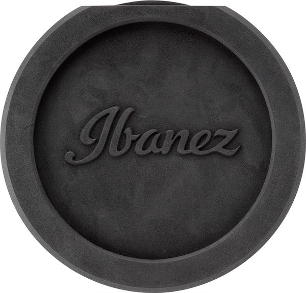Ibanez Isc1 sound hole cover