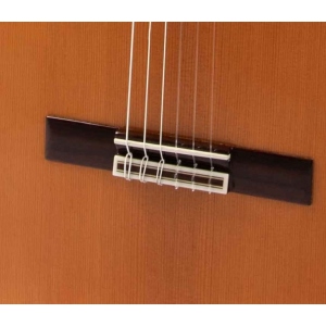 Raimundo 129 Cocobolo Cedar Chitarra Classica