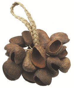 TOCA TSS SHAKER SEED SHELL