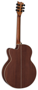 Ltd  J310E Chitarra Acustica Elettrificata Natural Satin