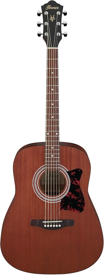 Ibanez V54NJP Weathered Black Open Pore