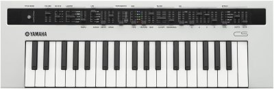 Yamaha Reface Cs (Esposizione)