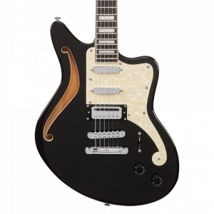 D'Angelico Bedfod SemiHollow Black Flake