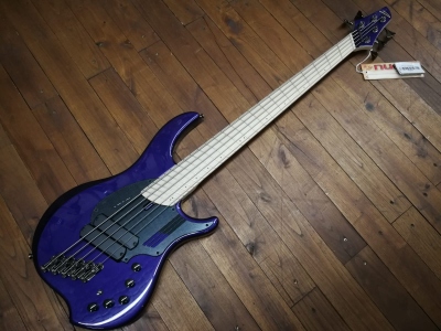 DINGWALL NG2 5 CORDE METALLIC PURPLE