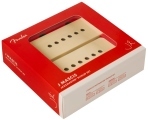 Fender J Mascis Signature Jazzmaster Pickup 2 pcs