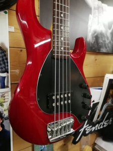 Music Man StingRay 5 Corde Usato