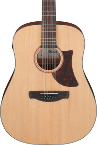 Ibanez AAD1012E Acustica Open Pore Natural 12 Corde Elettrificata