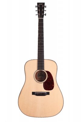 COLLINGS D1T ADIRONDACK TOP CON CUSTODIA RIGIDA