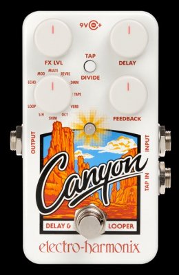 Electro Harmonix Canyon Delay And Looper  Pedale Effetto