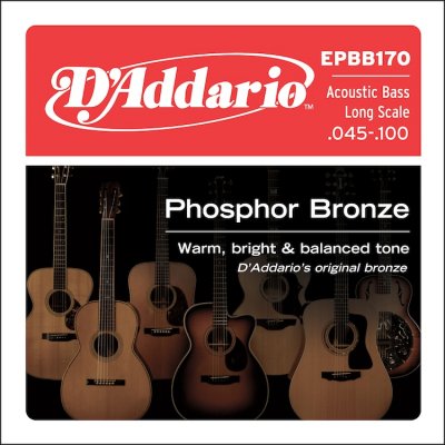D'Addario Epbb170 Long Scale .045-100