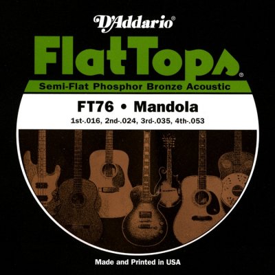 D'Addario Ft76 Muta Mandola Flat Top