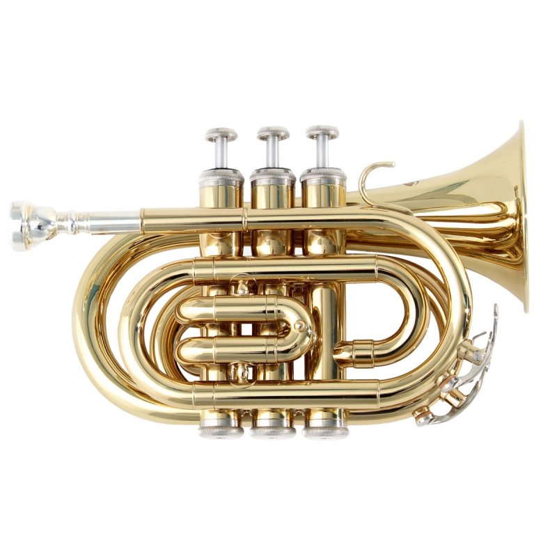Soundsation Tromba Stpgd-10P Pocket Gold