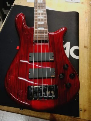 Spector Bass Euro5 Lx Special Red Stain Gloss