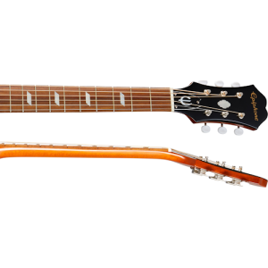 Epiphone ft-79 texan masterbild
