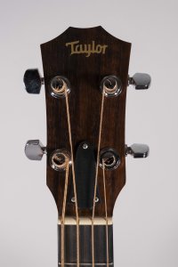 taylor gs mini bass usato