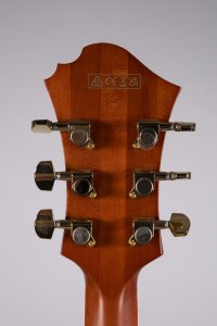 Ibanez PM3C Natural Amber Low Gloss