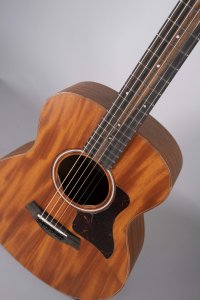 TAYLOR GS MINI MOGANO USATA