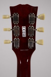 Tokai LP Style Flame Violin