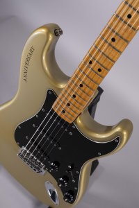 fender stratocaster 25th 1979 usata