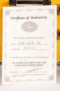 Tokai LP Style Flame Lemon Drop