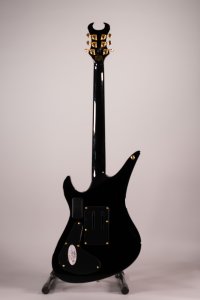 SCHECTER SYNYSTER GATES CUSTOM USATA