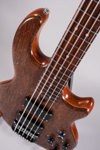 bass wal 5 corde mkII usato