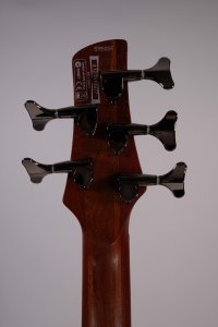 ibanez sdgr 5c usato freetless usato
