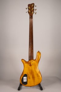 WARWICK STREAMER PRO M 5C USATO