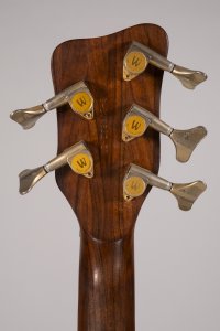 WARWICK STREAMER PRO M 5C USATO