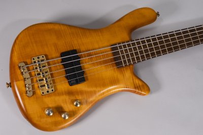 WARWICK STREAMER PRO M 5C USATO