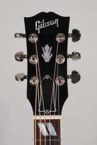 GIBSON HUMMINGBIRD USATA