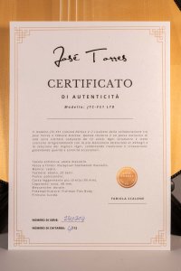 Jose Torres Jtc-FS1 Ltd Chitarra Classica Elettrificata