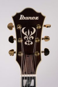 Ibanez AS113BS Chitarra Semiacustica Brown Sunburst con Case