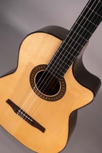 Jose Torres Jtc-FS1 Ltd Chitarra Classica Elettrificata