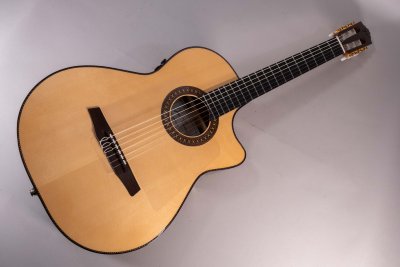 Jose Torres Jtc-FS1 Ltd Chitarra Classica Elettrificata