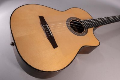 Jose Torres Jtc-FS1 Ltd Chitarra Classica Elettrificata