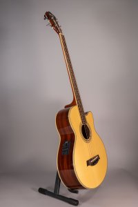 ibanez aeb10e basso acustico usato