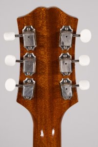 KING SNAKE MUDDY DEEP BODY USATA