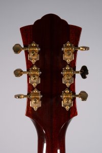 GUILD D55 SB USATA