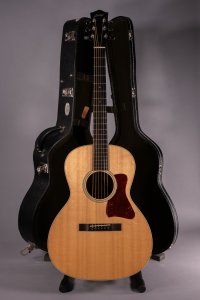 COLLINGS C10 INDIAN USATA